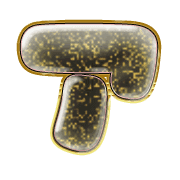 081