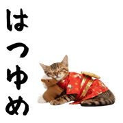 005