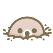 003