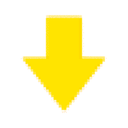 261