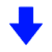261