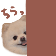 008