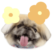 010