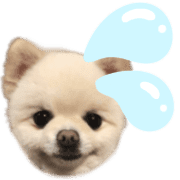 011