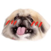 027