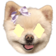040