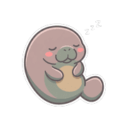 002