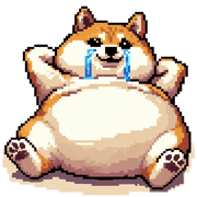 029