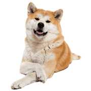 005