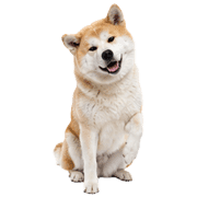 006