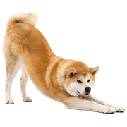 013