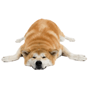 018