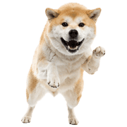 019