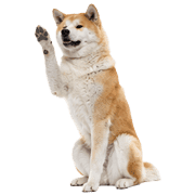 023