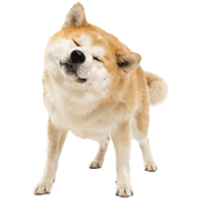 035