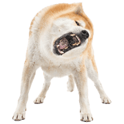 040