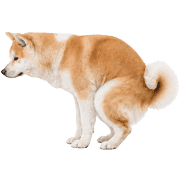 013
