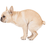 019