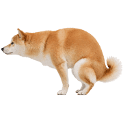 021
