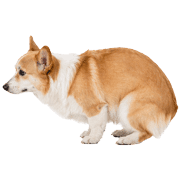 025