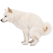 033