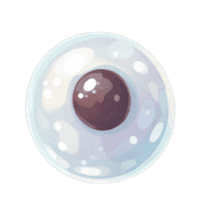 031