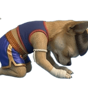 039