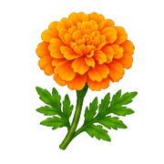 016