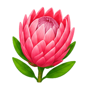 019