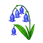 029