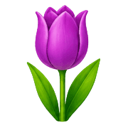 034