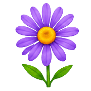 035