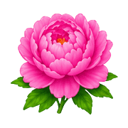 036