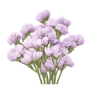 017
