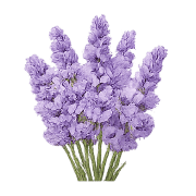 018