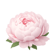 019