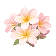 028