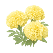 033