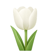 034