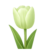 035