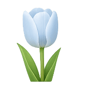 036