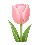 039
