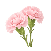040