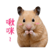 033