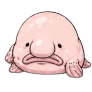 029