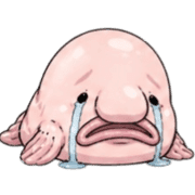 036