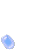 256