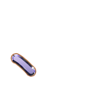 256