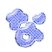021