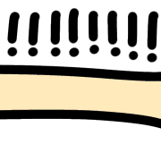 008